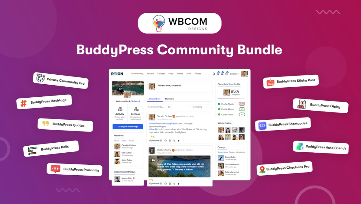 BuddyPress WordPress plugin