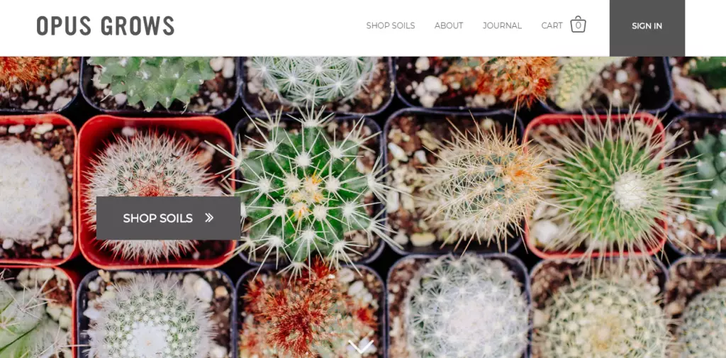 web design examples
