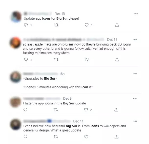 big-sur-opinions