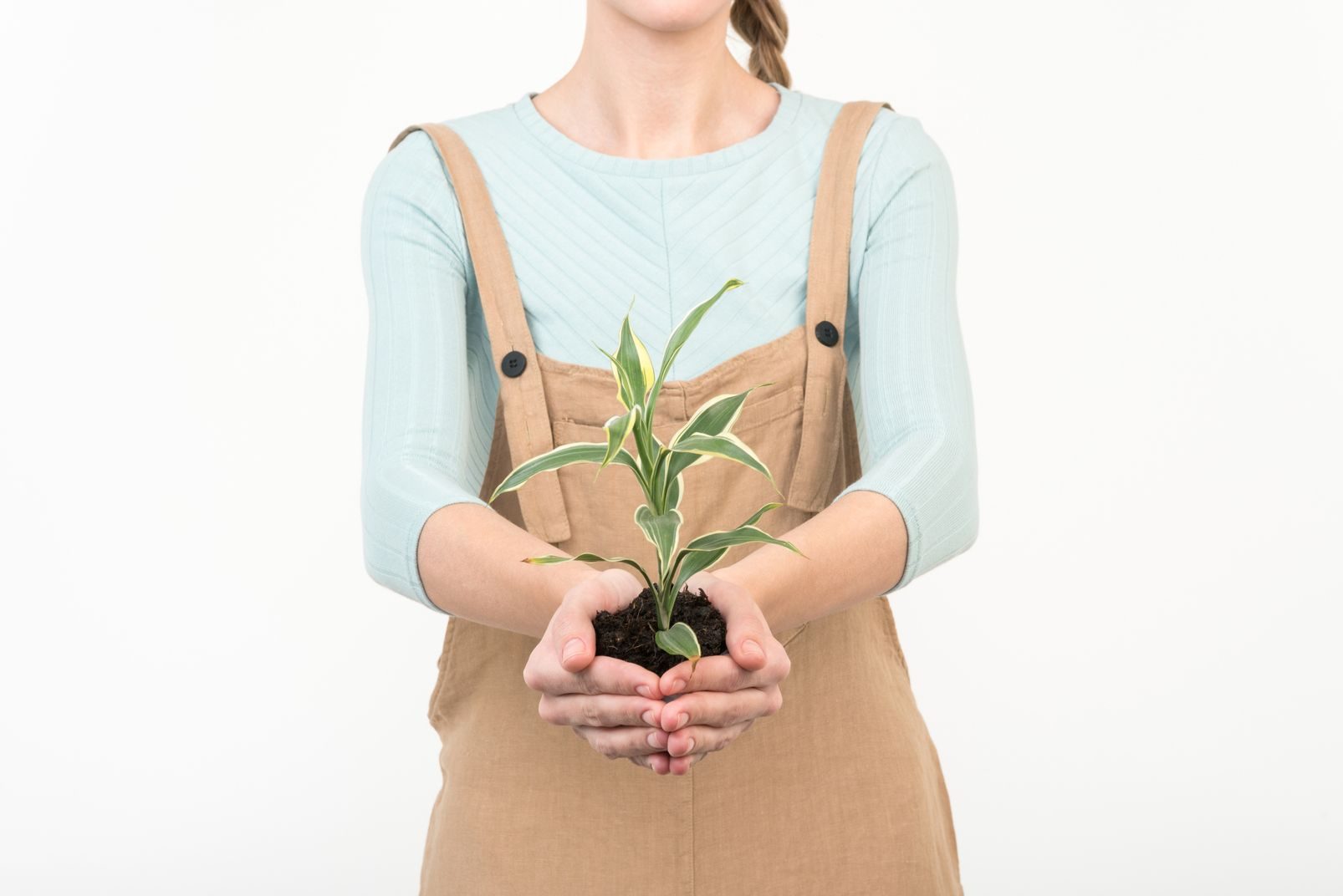 World Environment Day: Holding plant