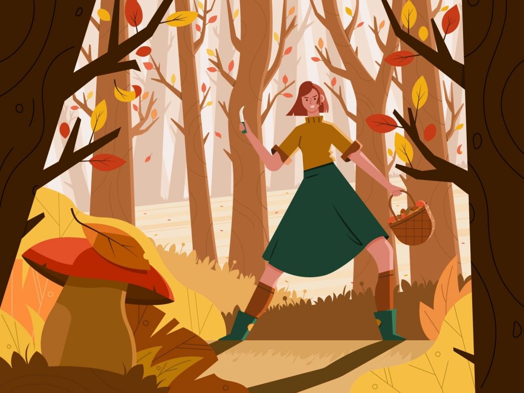 Beautiful autumn illustrations for UI, web, email, and inspiration: Mushroom Season: Let the Hunt Begin