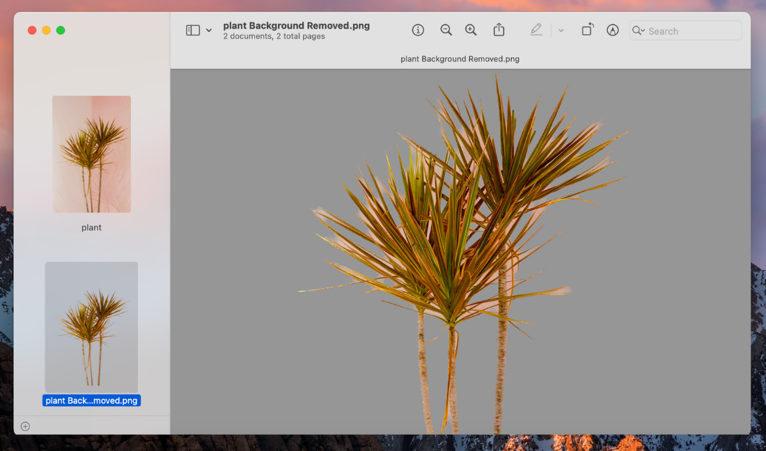 Remove background of a picture on a Mac