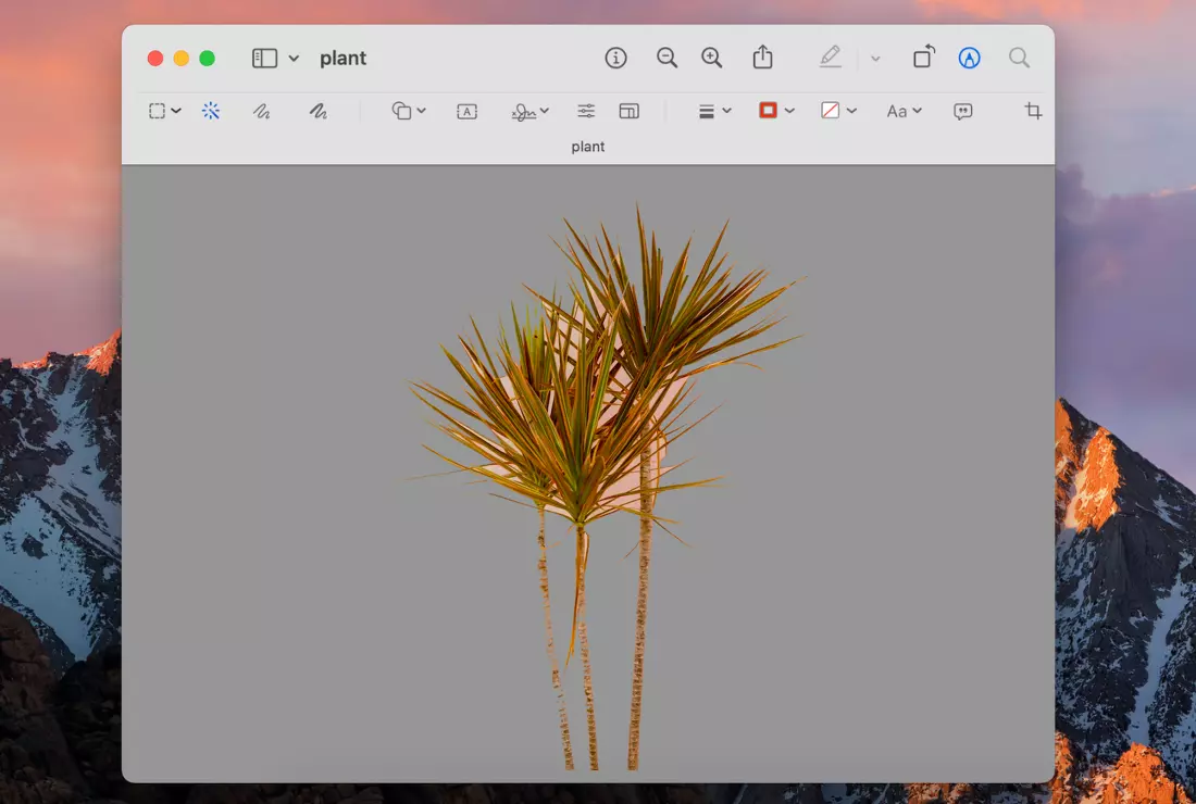 Remove background from picture on Mac