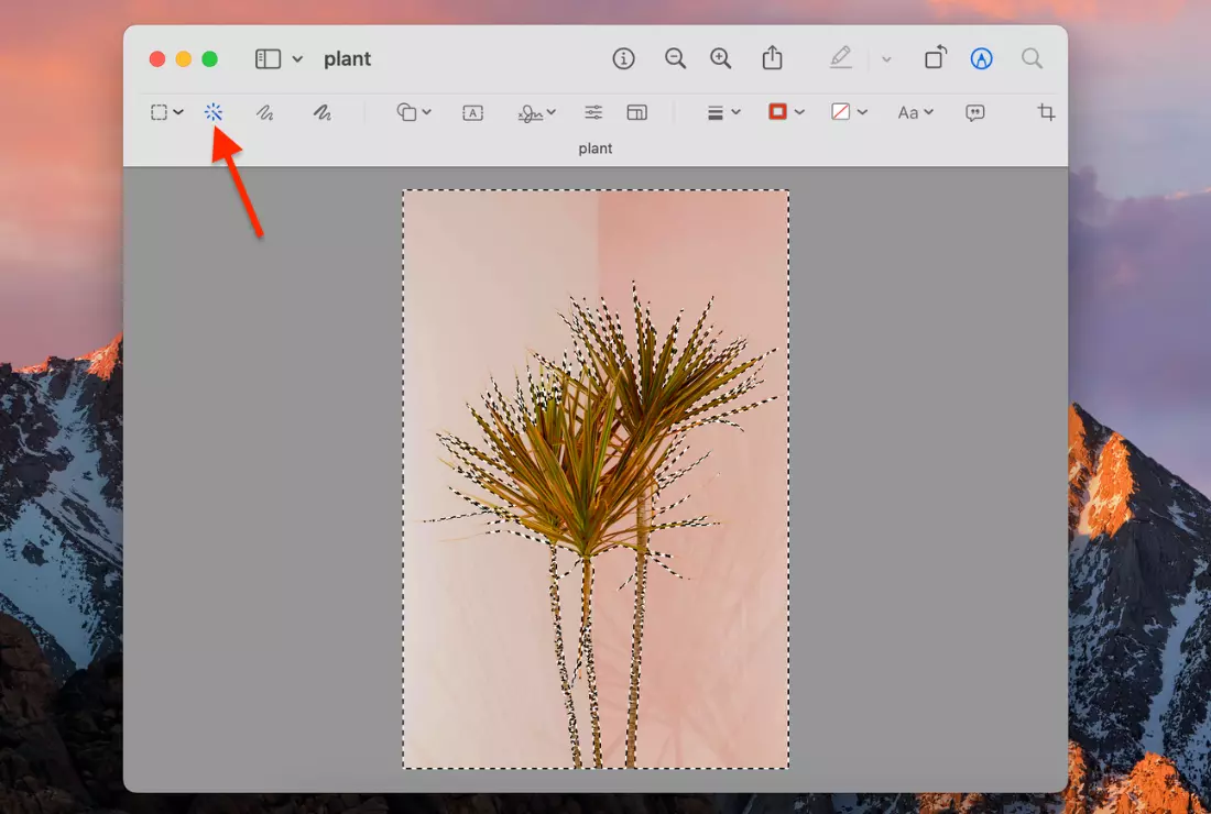 Remove photo background Mac