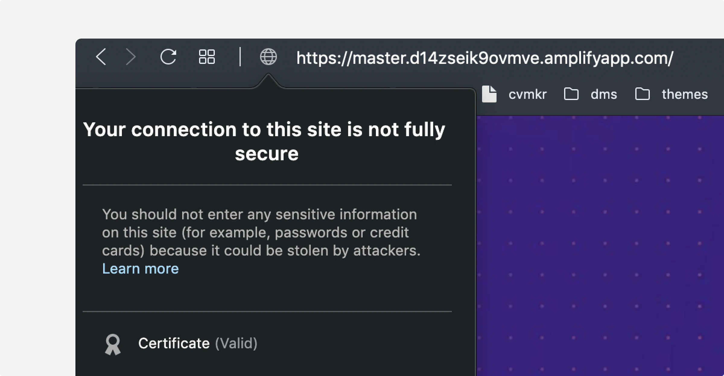 Your connection to this site is not fully secure