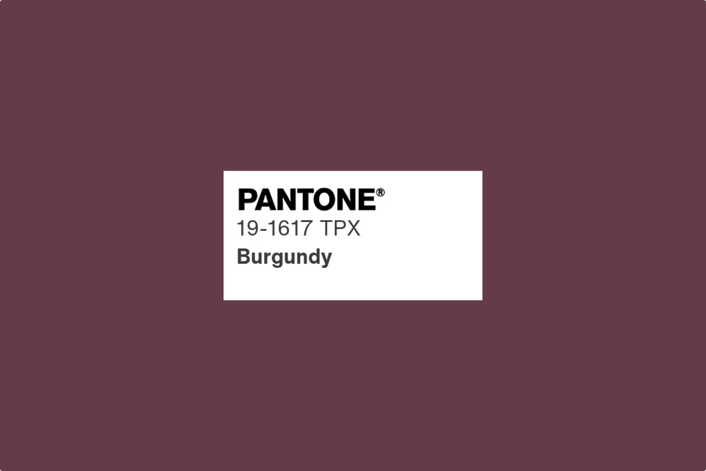 burgundy color pantone