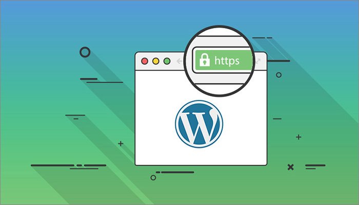 web security tips for wordpress